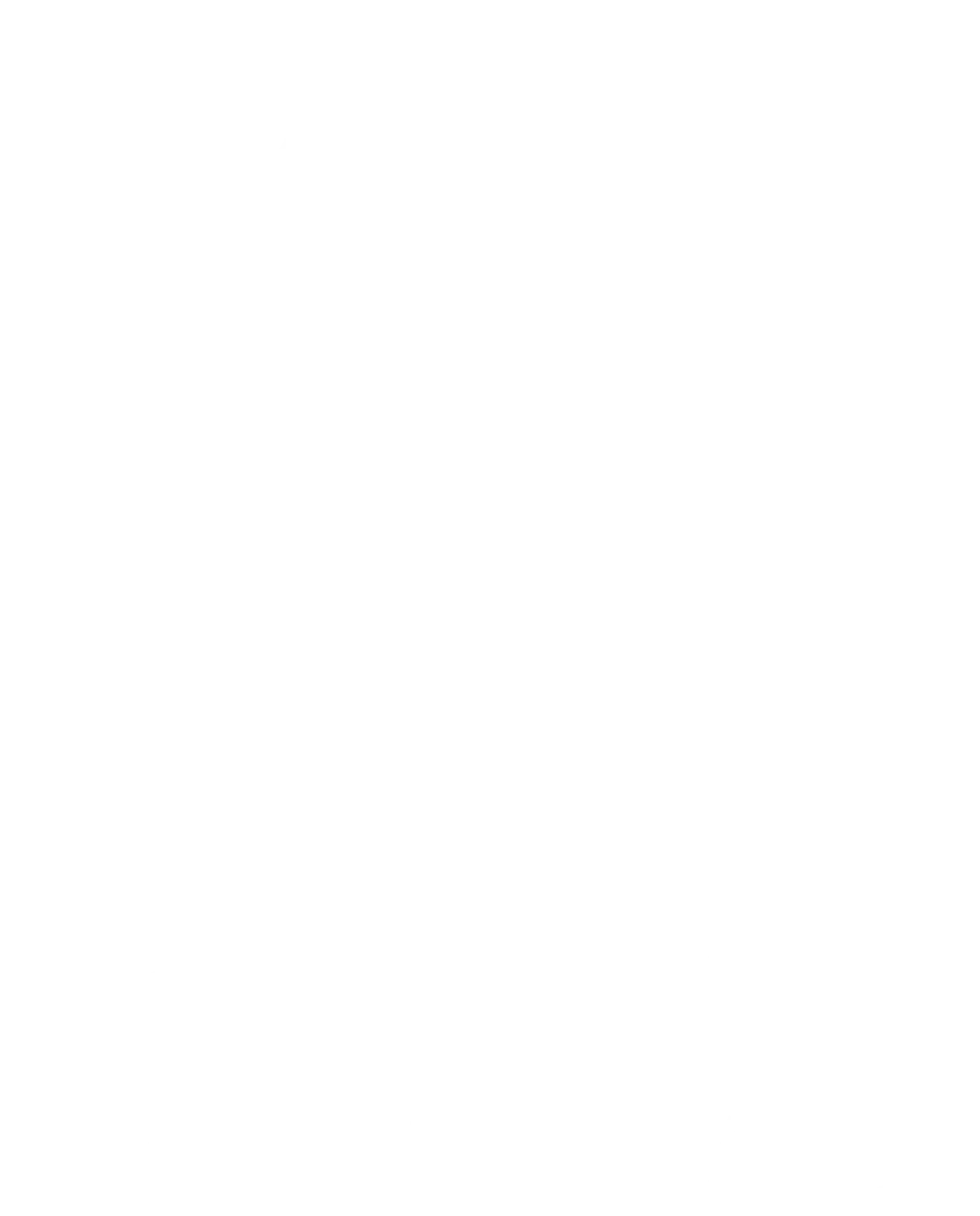 BVI.PA_BIG.D-9d953cc6