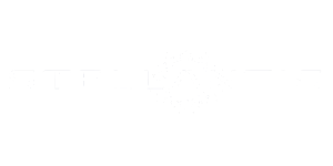 stellantis_bn